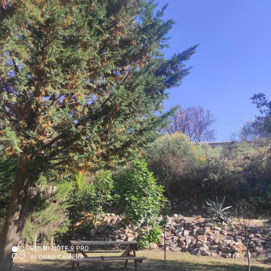 Villa Casaleno Gite La Cigale Avec Wi-Fi Millas エクステリア 写真